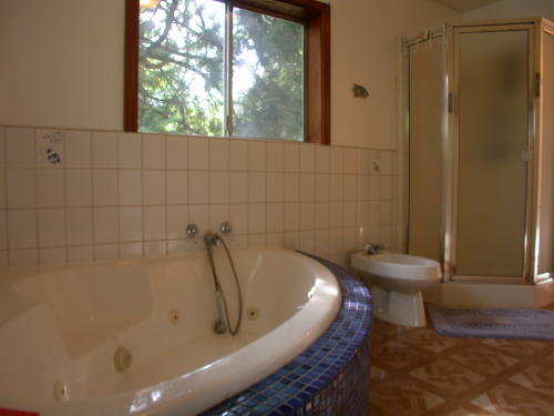 Lower level fireplace